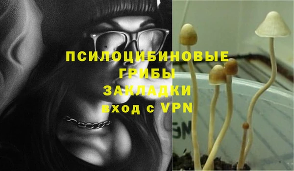 стаф Горнозаводск