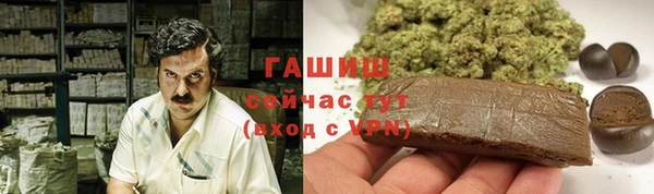 стаф Горнозаводск
