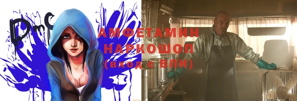 прущие грибы Горно-Алтайск