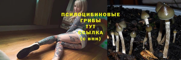 стаф Горнозаводск