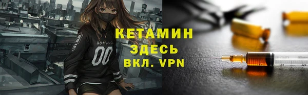 прущие грибы Горно-Алтайск