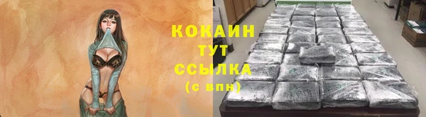 прущие грибы Горно-Алтайск
