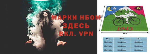 прущие грибы Горно-Алтайск