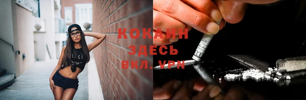 прущие грибы Горно-Алтайск