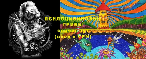 прущие грибы Горно-Алтайск
