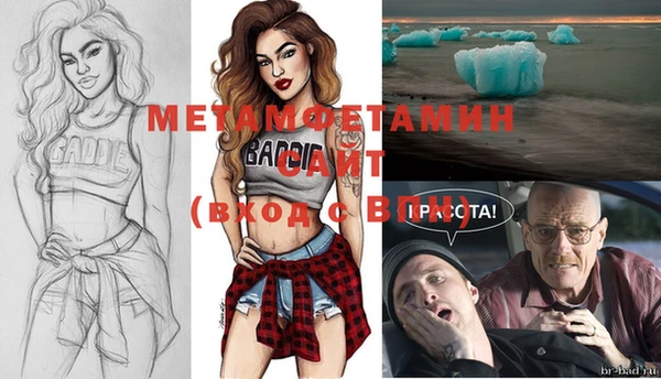 прущие грибы Горно-Алтайск