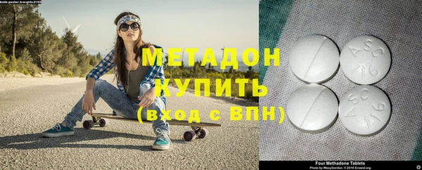 прущие грибы Горно-Алтайск