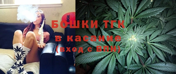 прущие грибы Горно-Алтайск