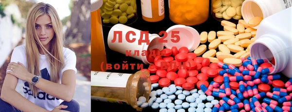 прущие грибы Горно-Алтайск