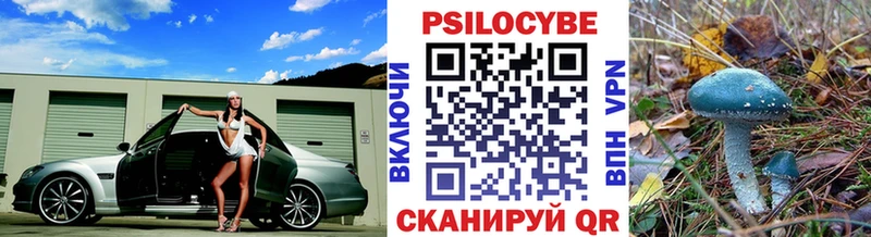 что такое наркотик  Новосибирск  Псилоцибиновые грибы Cubensis 