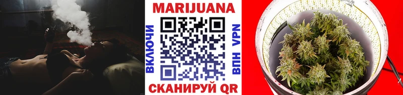 где найти   Новосибирск  Марихуана планчик 